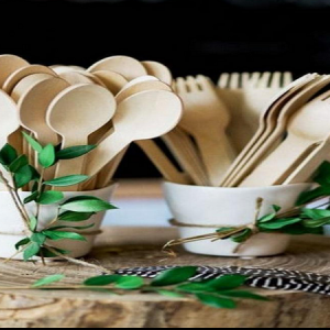 Wooden-biodegradable-products