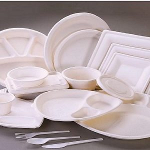 Biodegradable-Take-away-product